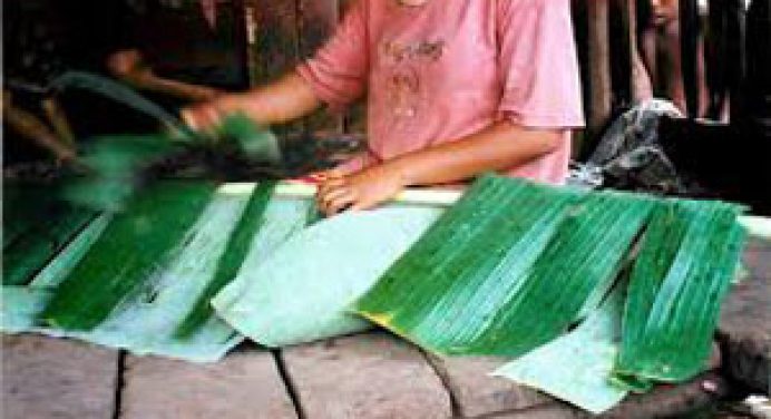 banana leaf clothes