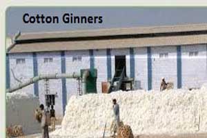Cotton ginner face tough time with falling prices and shrinking profit  margins | YnFx | YnFx