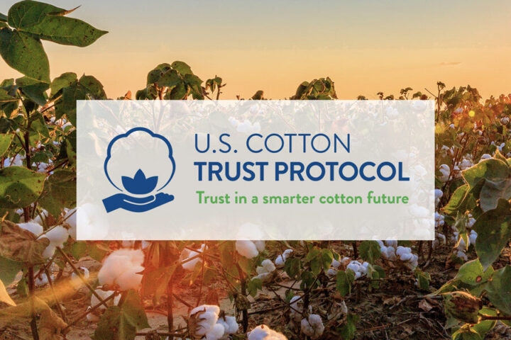 U.S. Cotton Trust Protocol receives ISEAL membership