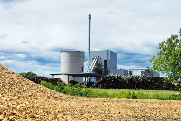 Lenzing signs contract to purchase biomass plant