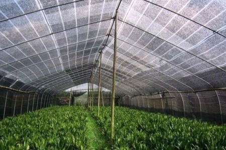 India establishes agro-textile demonstration farm for technical textiles