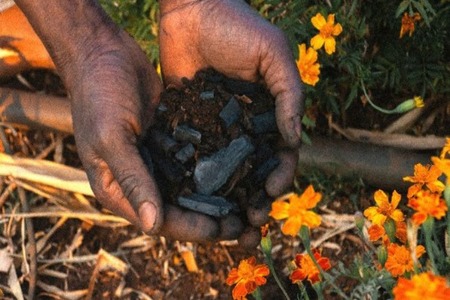 BCI, Planboo launch Biochar Pilot to improve soil health in India