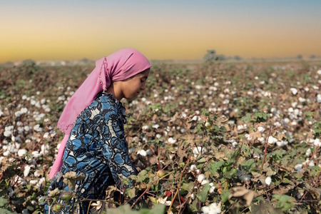 OCA introduces Organic Cotton Training Curriculum in Turkiye
