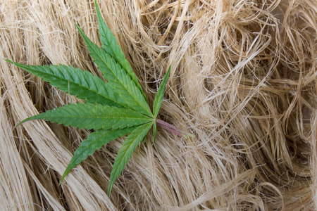 Heartland to expand use of hemp fabrics