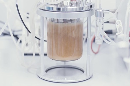 INVISTA, Epoch Biodesign to advance recycled nylon 6,6 production