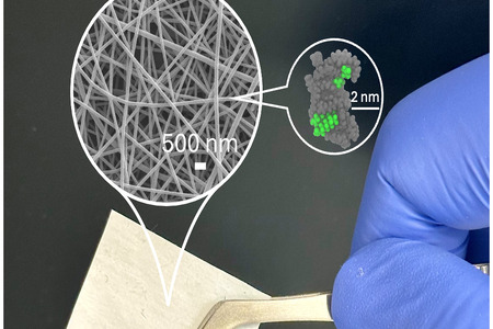 Researchers develop bio-based membrane to capture forever chemicals