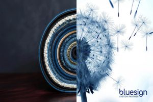 Novonesis x Bluesign