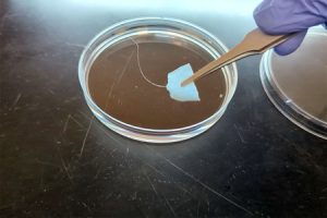 Protein-based Textile