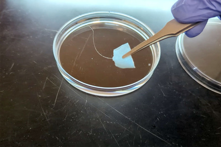 Engineers develop recyclable protein-based textile