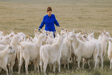 AbTF expands animal welfare monitoring in inner Mongolia