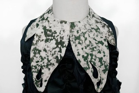 Chinese researchers develop living fungus-based textile