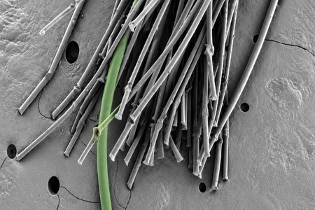 MIT engineers develop recyclable polyethylene yarn