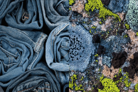 Novonesis launches DeniBrite for sustainable denim bleaching