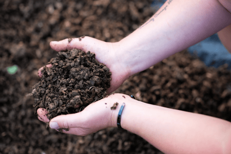 RMIT Research turns cotton waste into compost using vermicomposting
