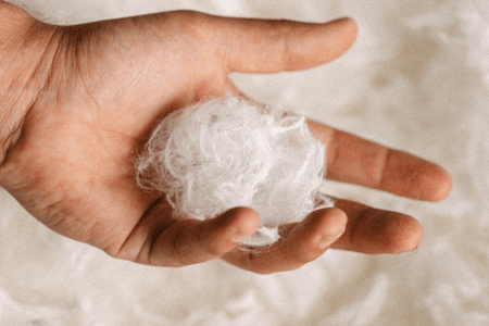 Everbloom gains FTC approval for new Renoa regenerated fiber