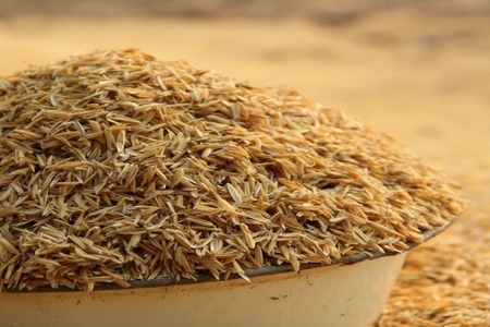 Researcher proposes rice husk-based solution for wastewater treatment
