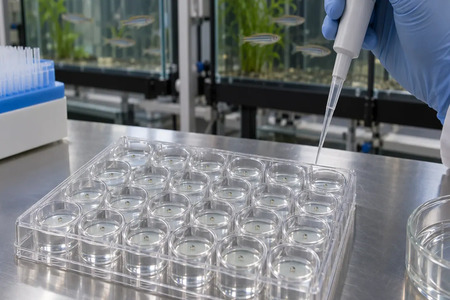 China introduces fish embryo toxicity test for textile wastewater